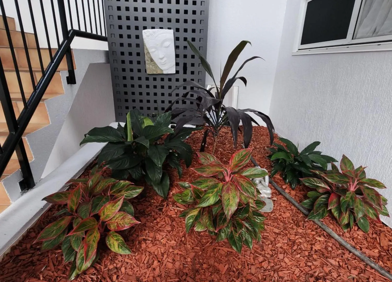 Villa Vaucluse Apartments Cairns Aparthotel