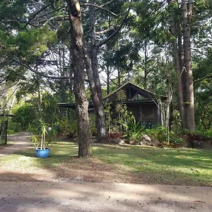 Rainforest 3* Байрон-Бей